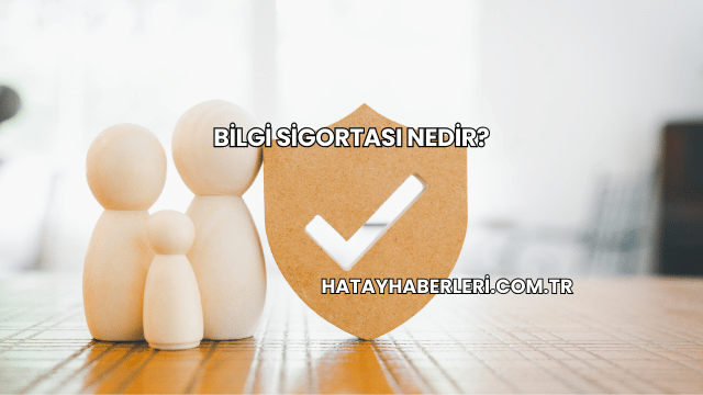 Bilgi Sigortası Nedir?
