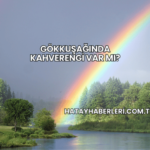 Gökkuşağında Kahverengi Var mı?