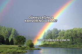 Gökkuşağında Kahverengi Var mı?