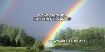 Gökkuşağında Kahverengi Var mı?