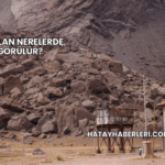 Heyelan Nerelerde Görülür?