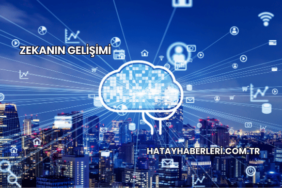 Zekanın Gelişimi