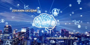 Zekanın Gelişimi