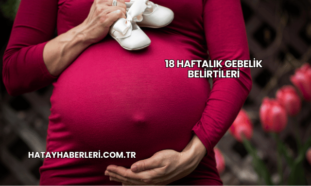 18 Haftalık Gebelik Belirtileri