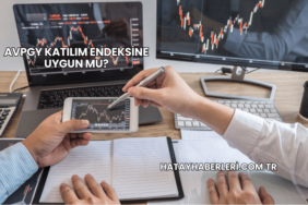 AVPGY Katılım Endeksine Uygun mu?