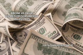 Abone ve Okur Hizmetleri Sorumlusu Maaşı 2025