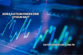 Adra Katılım Endeksine Uygun mu?