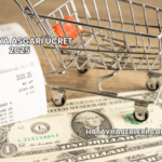 Almanya Asgari Ücret 2025