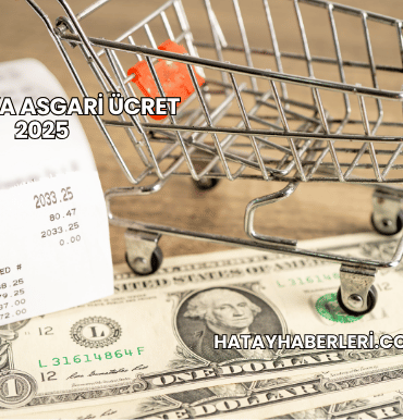 Almanya Asgari Ücret 2025