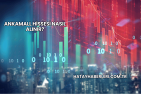 Ankamall Hissesi Nasıl Alınır?