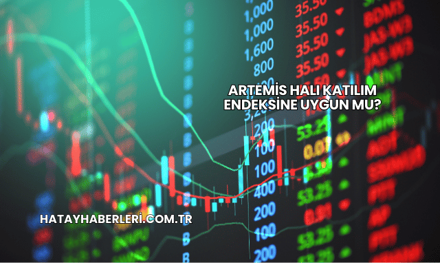 Artemis Halı Katılım Endeksine Uygun mu?