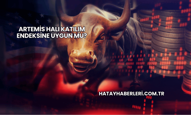 Artemis Halı Katılım Endeksine Uygun mu?