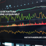 Batı Ege Katılım Endeksine Uygun mu?