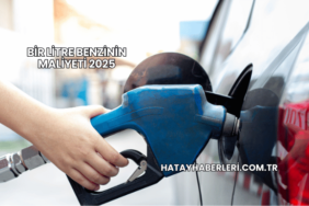 Bir Litre Benzinin Maliyeti 2025
