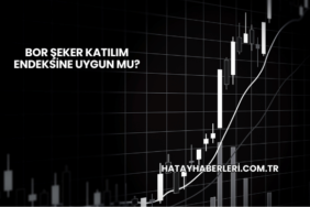 Bor Şeker Katılım Endeksine Uygun mu?