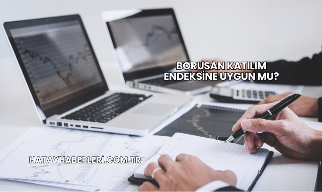 Borusan Katılım Endeksine Uygun mu?