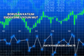 Borusan Katılım Endeksine Uygun mu?
