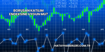 Borusan Katılım Endeksine Uygun mu?