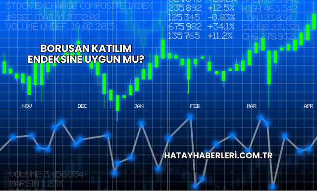 Borusan Katılım Endeksine Uygun mu?