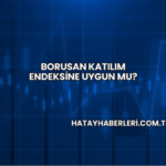 Borusan Katılım Endeksine Uygun mu?
