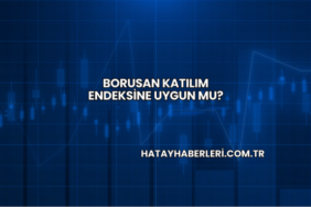 Borusan Katılım Endeksine Uygun mu?
