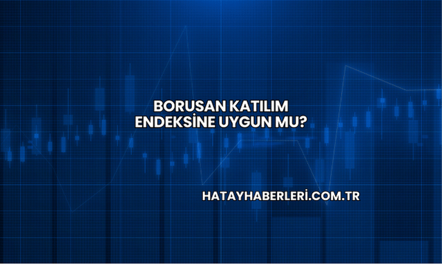 Borusan Katılım Endeksine Uygun mu?