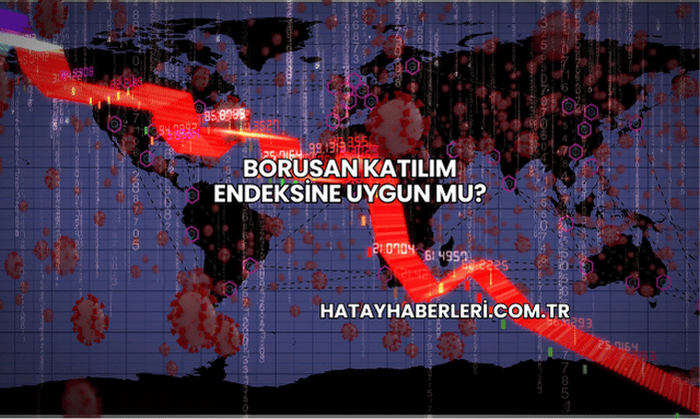 Borusan Katılım Endeksine Uygun mu?