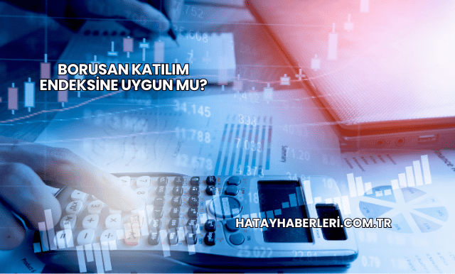 Borusan Katılım Endeksine Uygun mu?