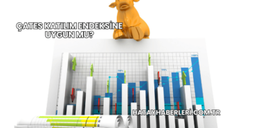 ÇATES Katılım Endeksine Uygun mu?