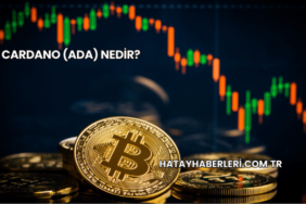 Cardano (ADA) Nedir?