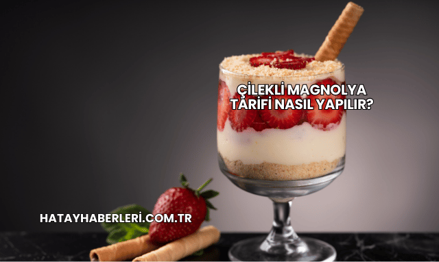 Çilekli Magnolya Tarifi Nasıl Yapılır?