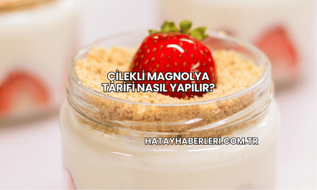 Çilekli Magnolya Tarifi Nasıl Yapılır?