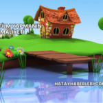 Çizgi Film Yapmanın Maliyeti