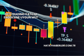 DCT Trading Katılım Endeksine Uygun mu?