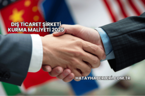Dış Ticaret Şirketi Kurma Maliyeti 2025