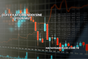 Dofer Katılım Endeksine Uygun mu?