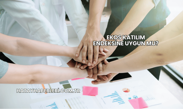 Ekos Katılım Endeksine Uygun mu?