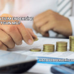 Ekos Katılım Endeksine Uygun mu?