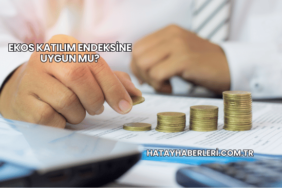 Ekos Katılım Endeksine Uygun mu?
