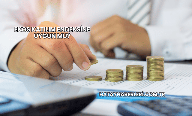 Ekos Katılım Endeksine Uygun mu?