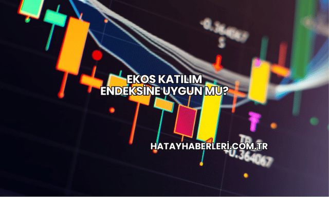 Ekos Katılım Endeksine Uygun mu?