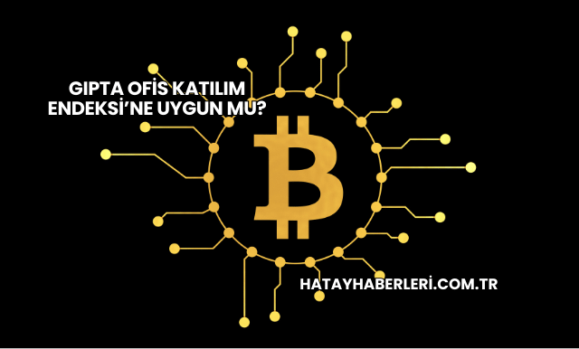Gıpta Ofis Katılım Endeksi’ne Uygun mu?