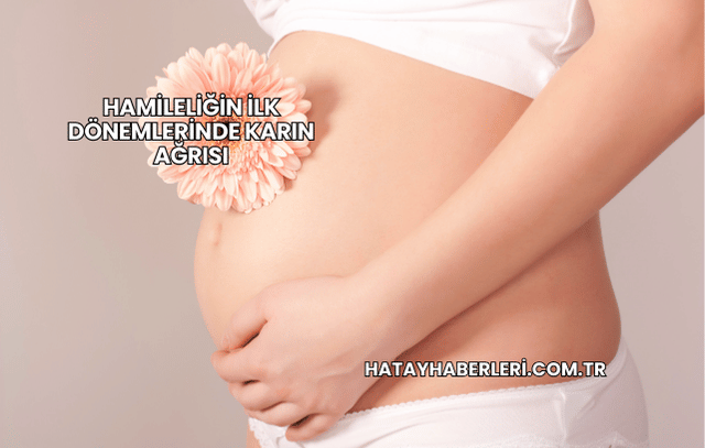 Hamileliğin İlk Dönemlerinde Karın Ağrısı