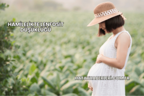 Hamilelikte Lenfosit Düşüklüğü