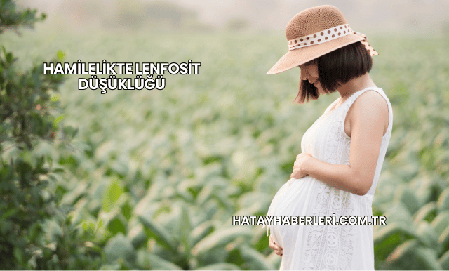 Hamilelikte Lenfosit Düşüklüğü