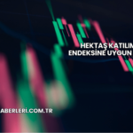 Hektaş Katılım Endeksine Uygun mu?