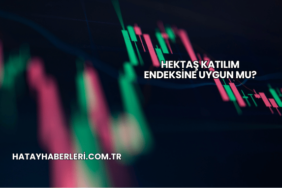 Hektaş Katılım Endeksine Uygun mu?