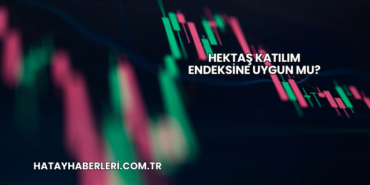 Hektaş Katılım Endeksine Uygun mu?