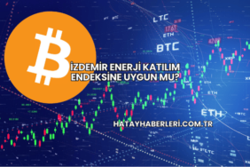 İZDEMİR Enerji Katılım Endeksine Uygun mu?