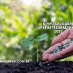 Kimyasal Gübre Üretim Tesisi Maliyeti 2025